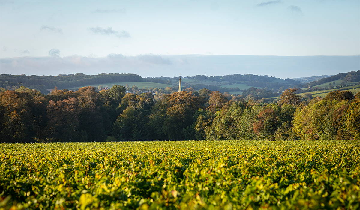 Simpsons Wine Estate Simpsons' Wine Estate